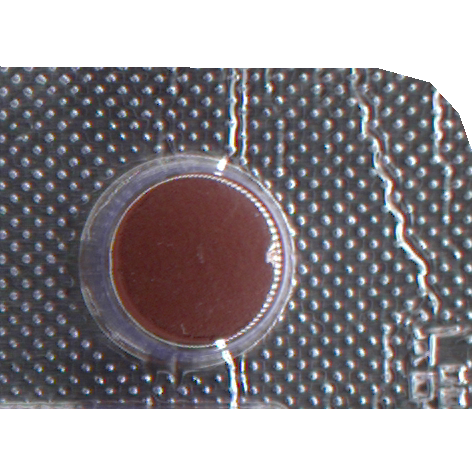 Blister Packaging & Printing
